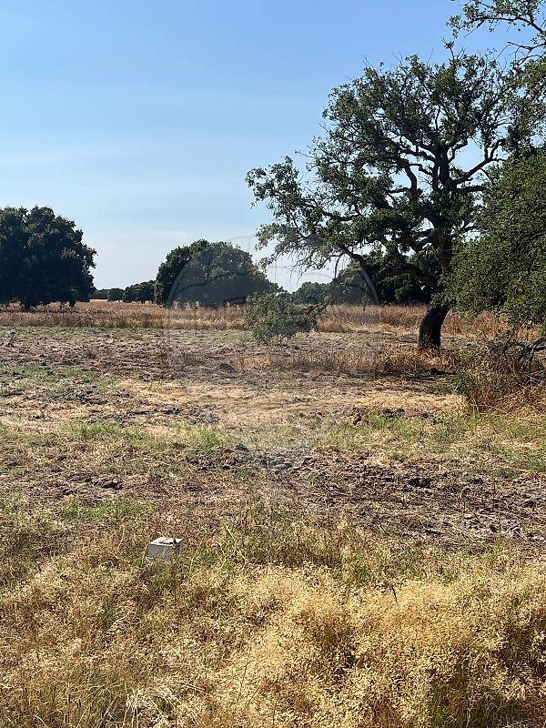 Terreno à venda em Benavente