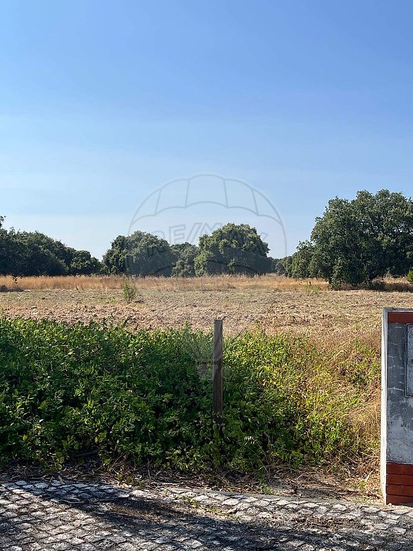 Terreno à venda em Benavente