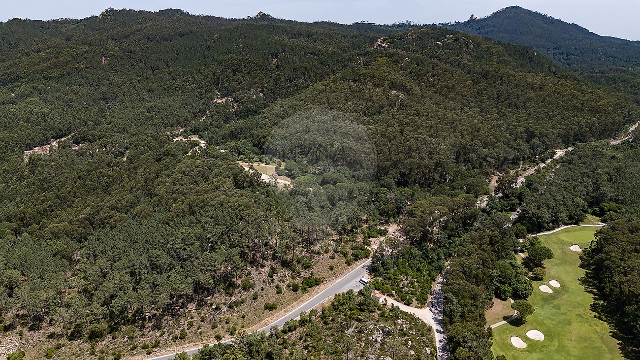 Terreno - Sintra (Santa Maria e São Miguel, São Martinho e São Pedro de Penaferrim), Sintra, Lisboa