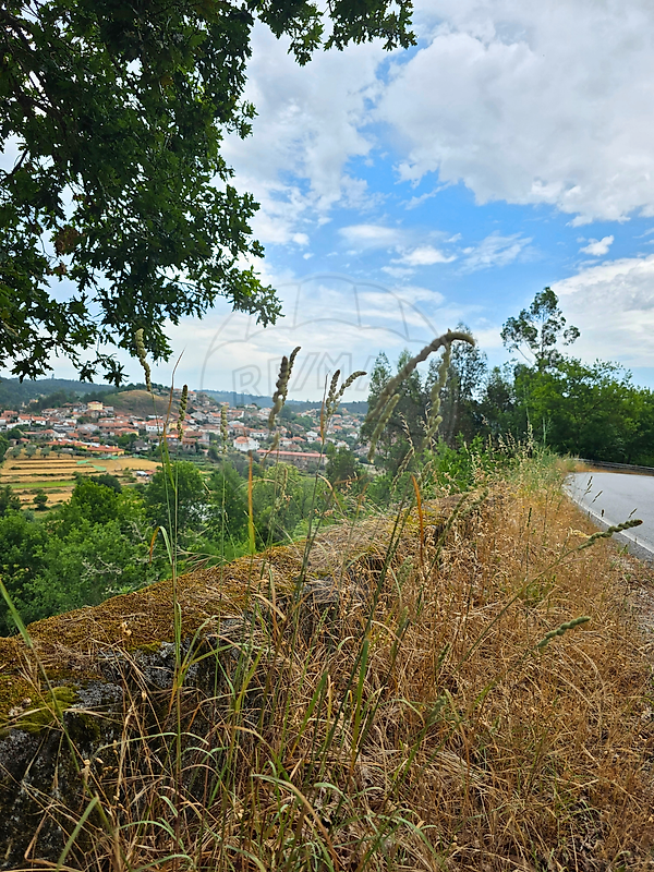 Moradia T1 à venda em Beijós, Carregal do Sal — foto 27