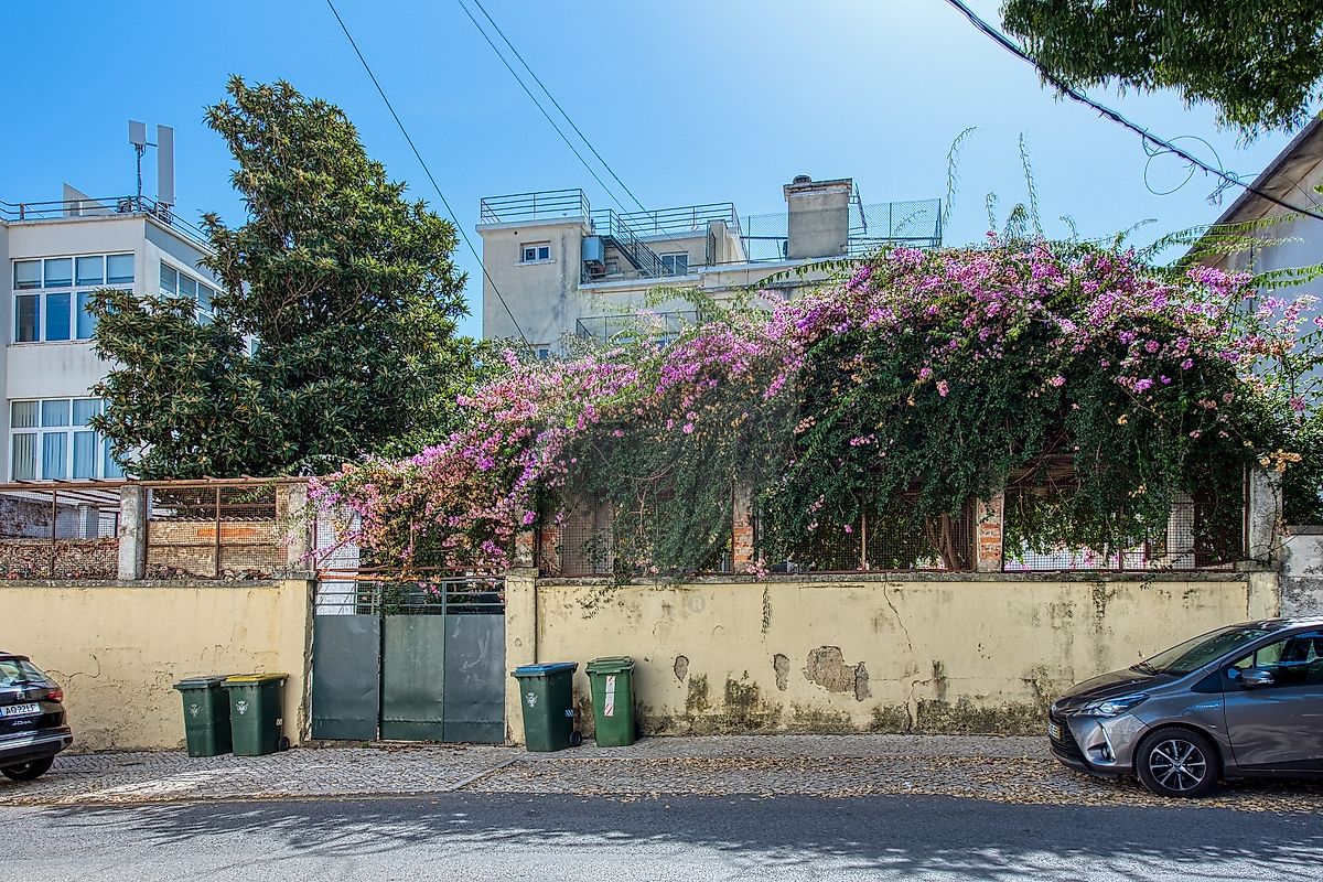 Moradia T6+ à venda em Areeiro, Lisboa — foto 38