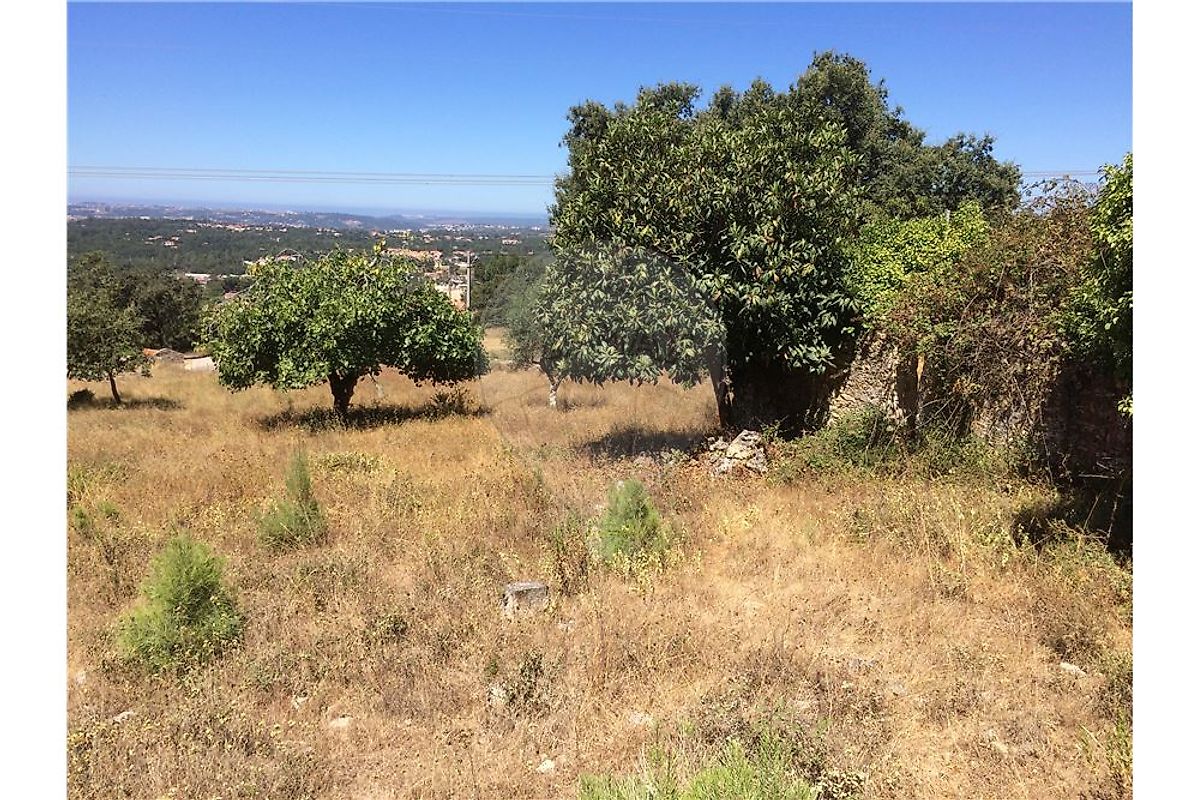 Land for sale in Alcobaça, Portugal — €65,000