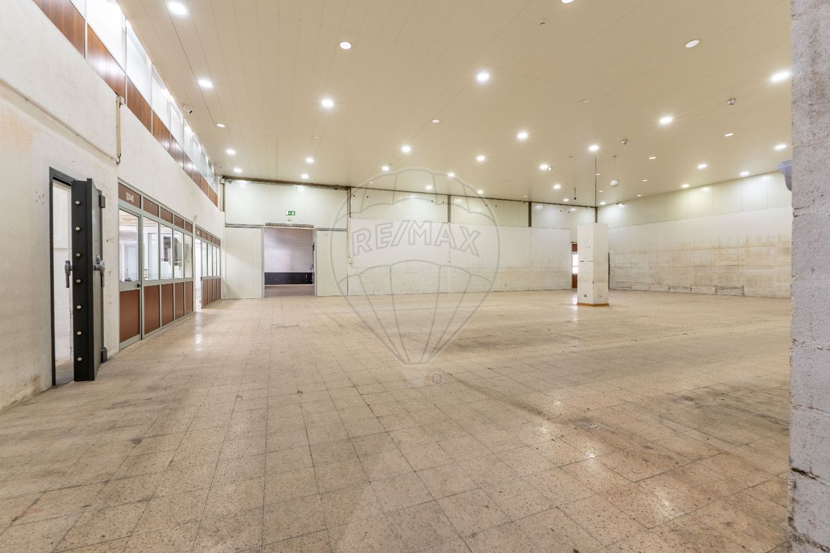 listing 120531414-1079 picture-0