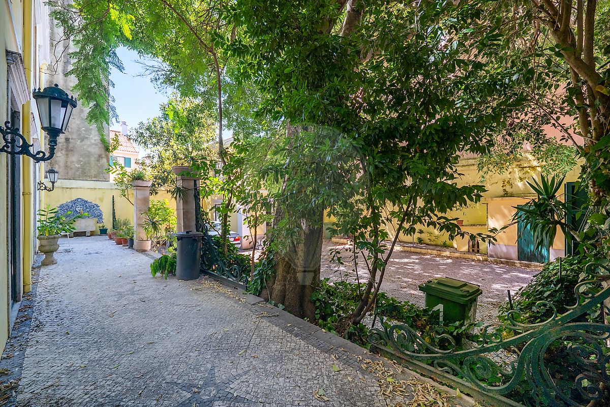 listing 120531405-225 picture-0