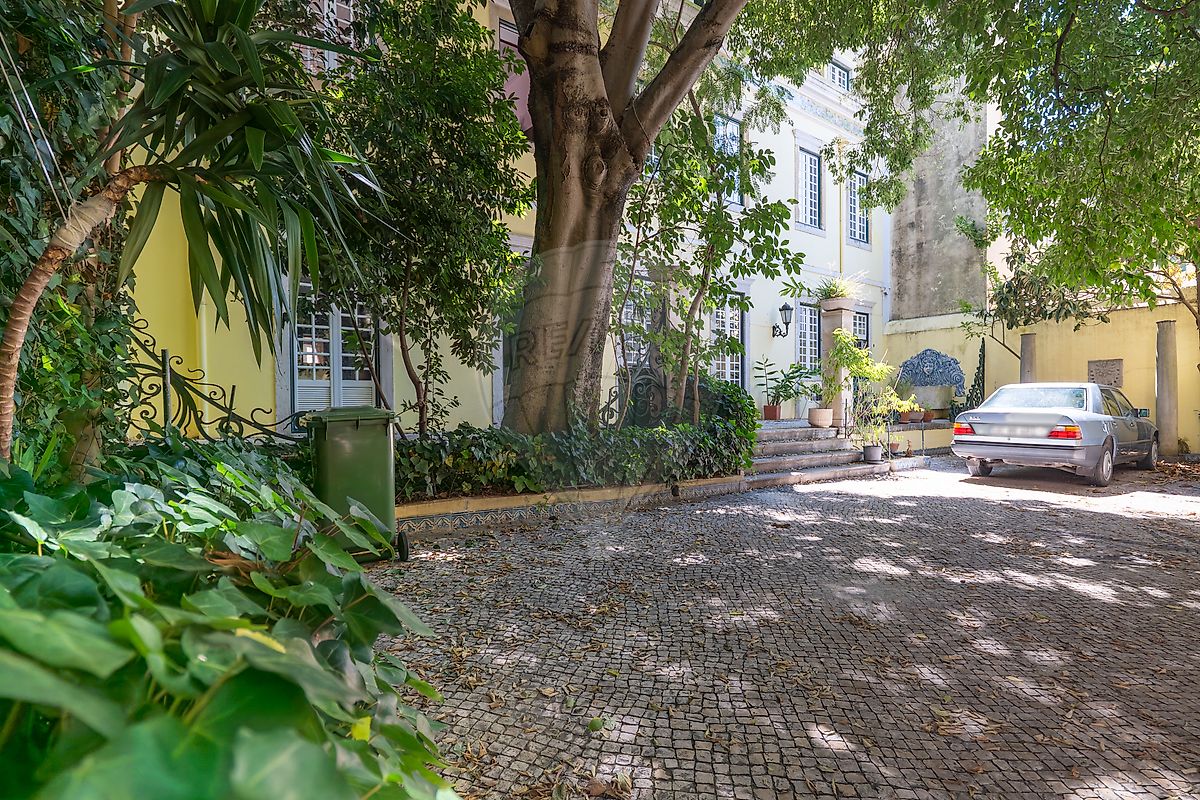 listing 120531405-225 picture-0