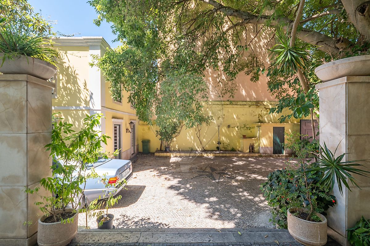 listing 120531405-225 picture-0