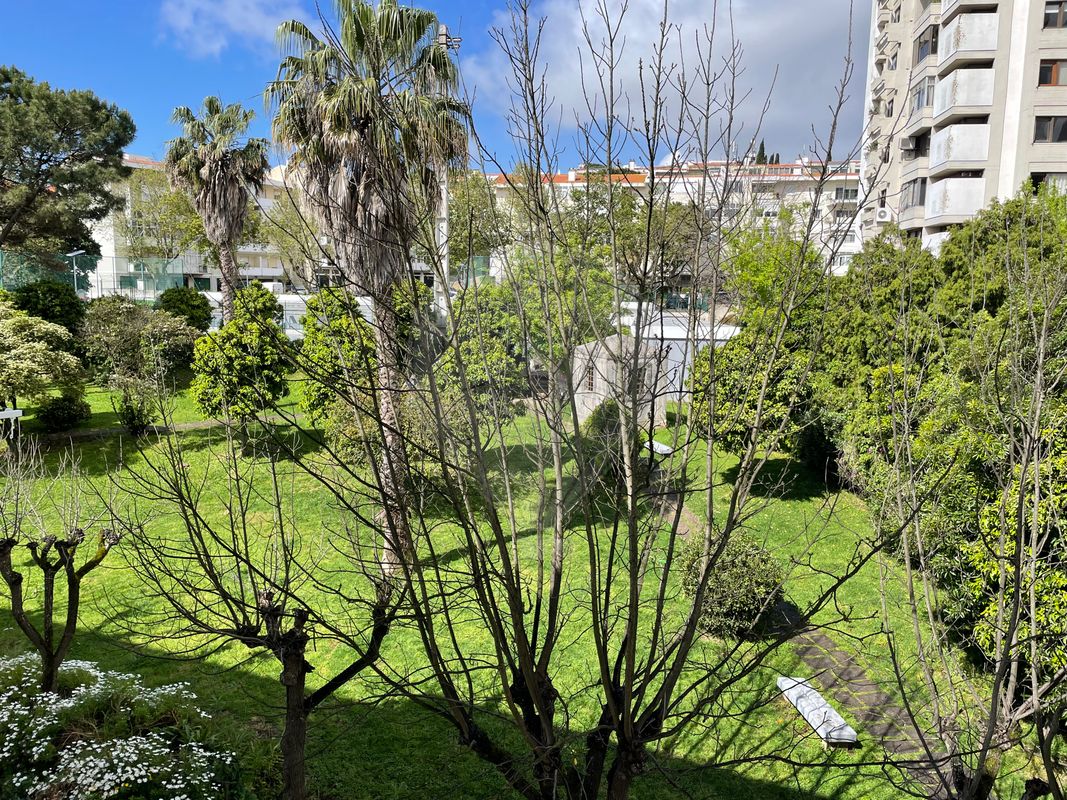 listing-picture-0