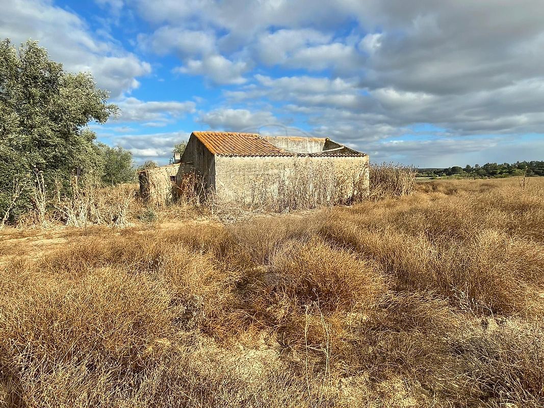 Terreno - Ferreira do Alentejo e Canhestros, Ferreira do Alentejo, Beja