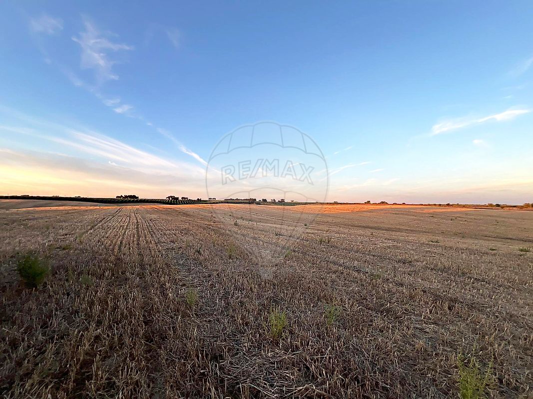 Terreno - Ferreira do Alentejo e Canhestros, Ferreira do Alentejo, Beja