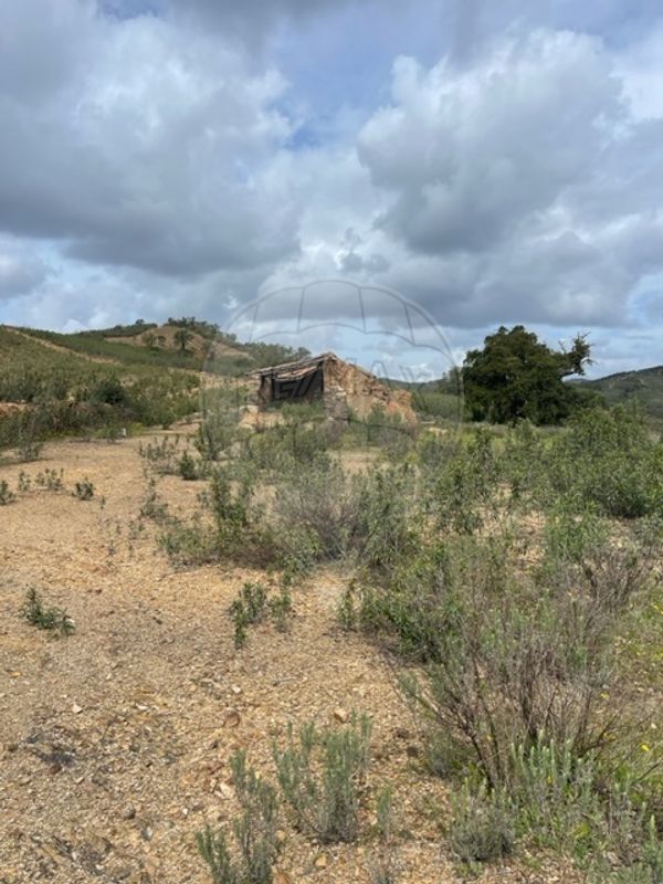 listing-picture-0