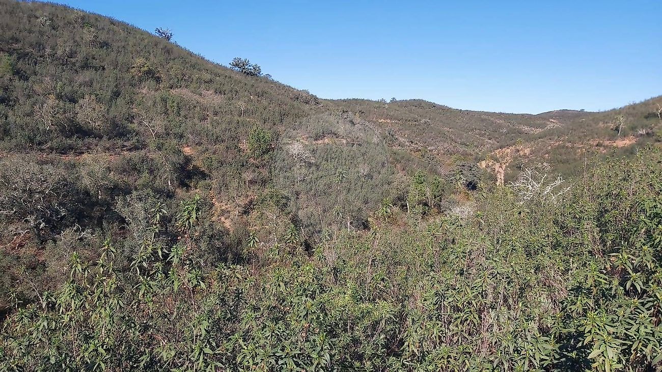 Terreno à venda em Silves