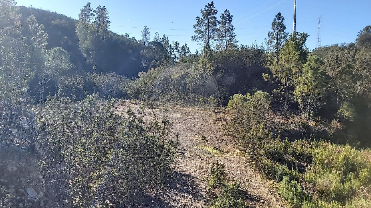 Terreno à venda em Silves