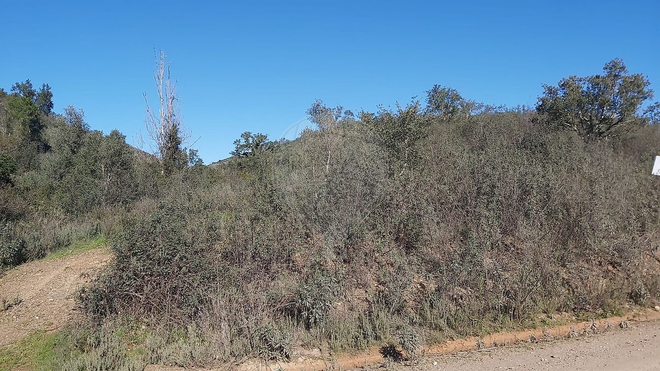 Terreno à venda em Vale das Favas