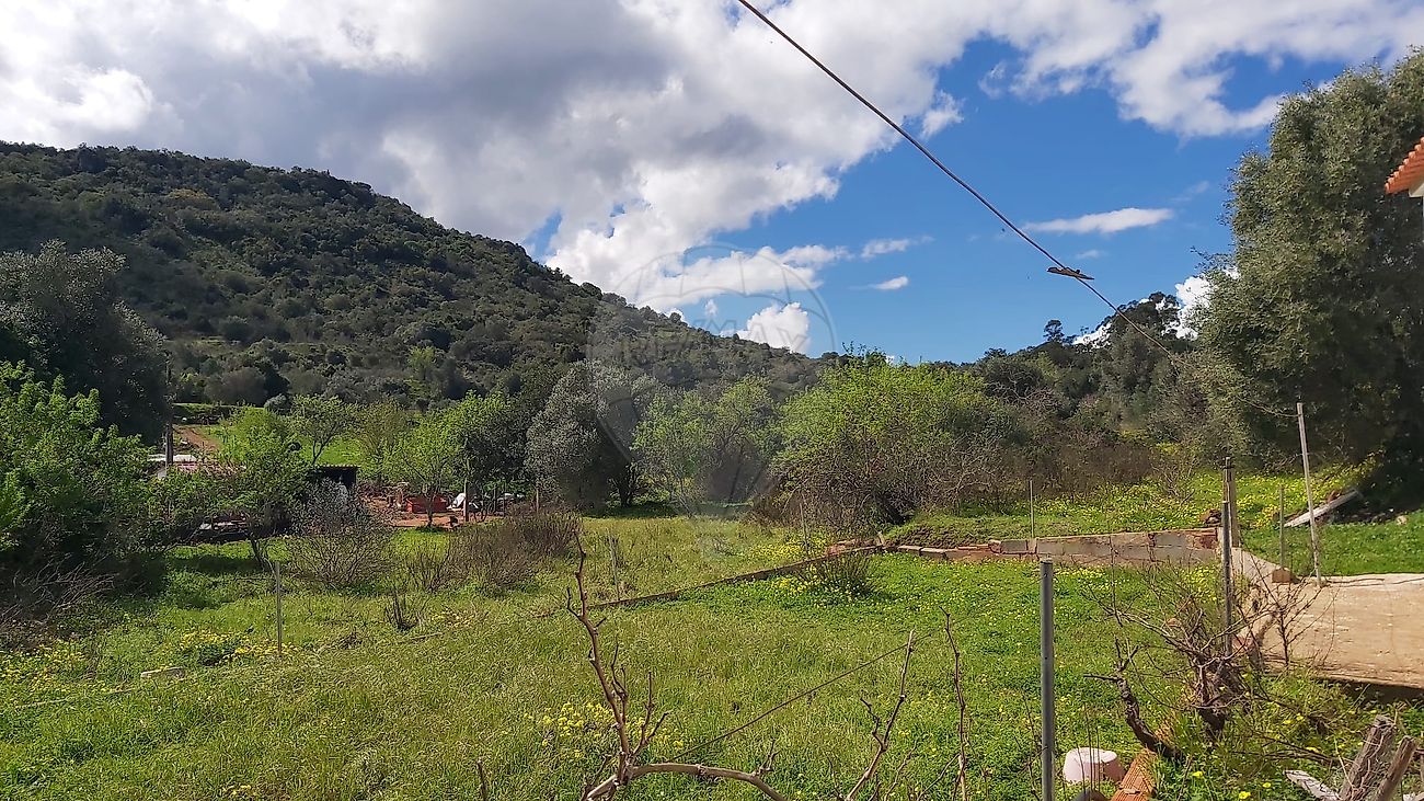 listing 120561355-140 picture-0