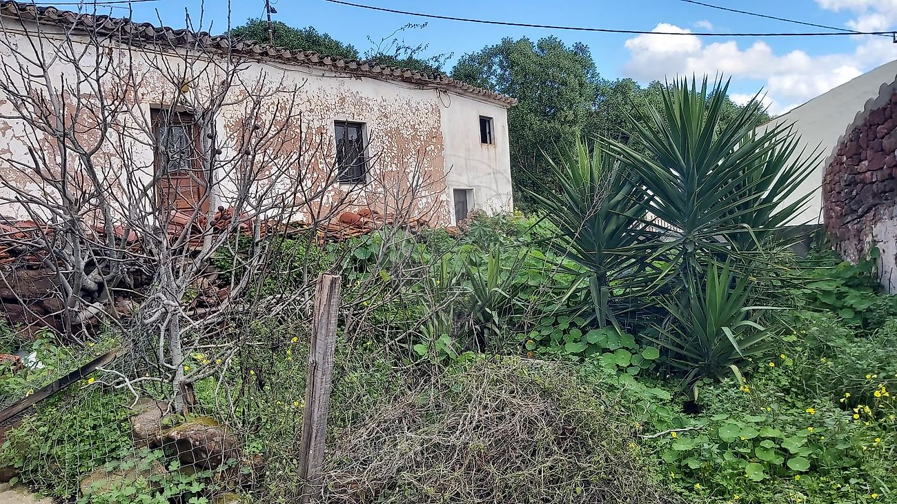 listing 120561355-140 picture-0