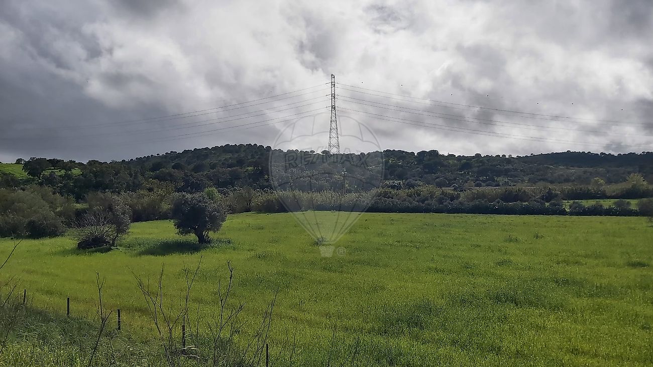 Terreno à venda em Charrua