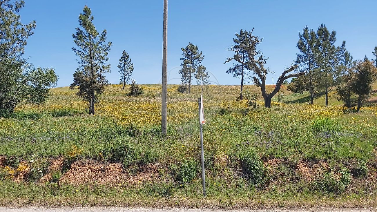 Terreno - São Marcos da Serra, Silves, Faro