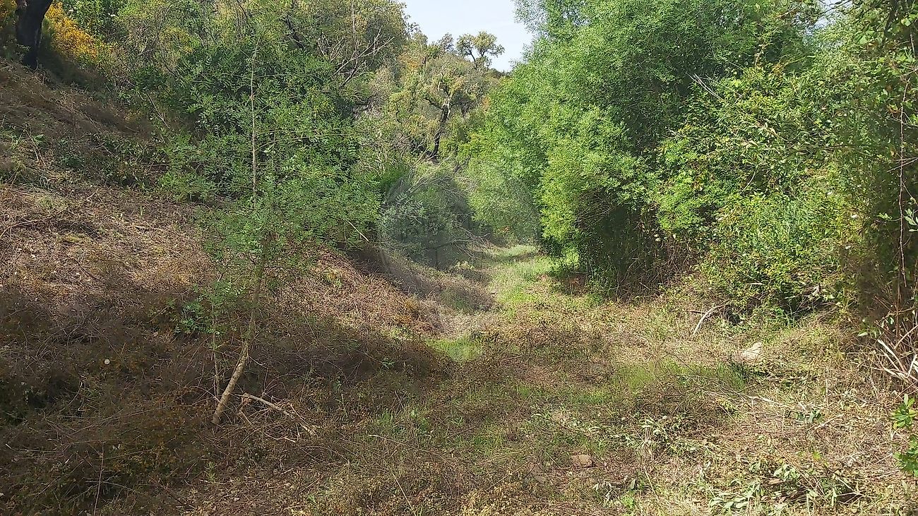 Terreno - São Marcos da Serra, Silves, Faro