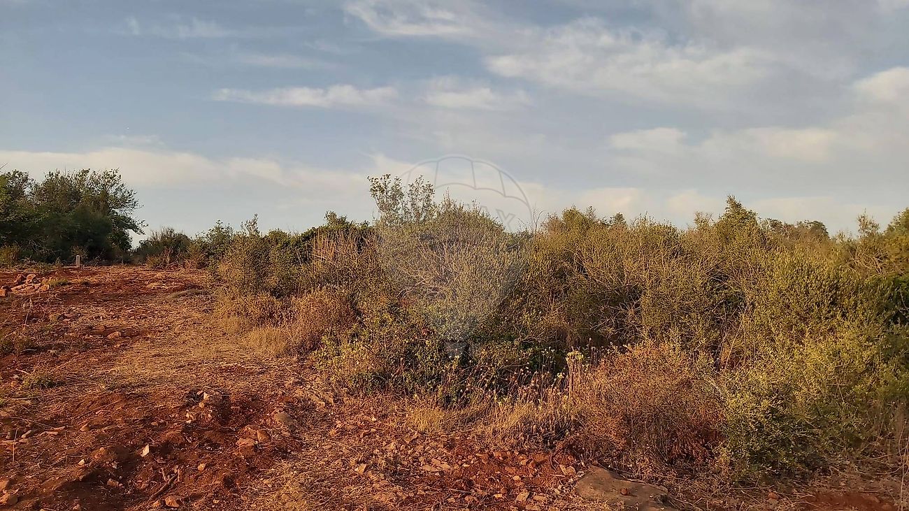 Terreno para venda