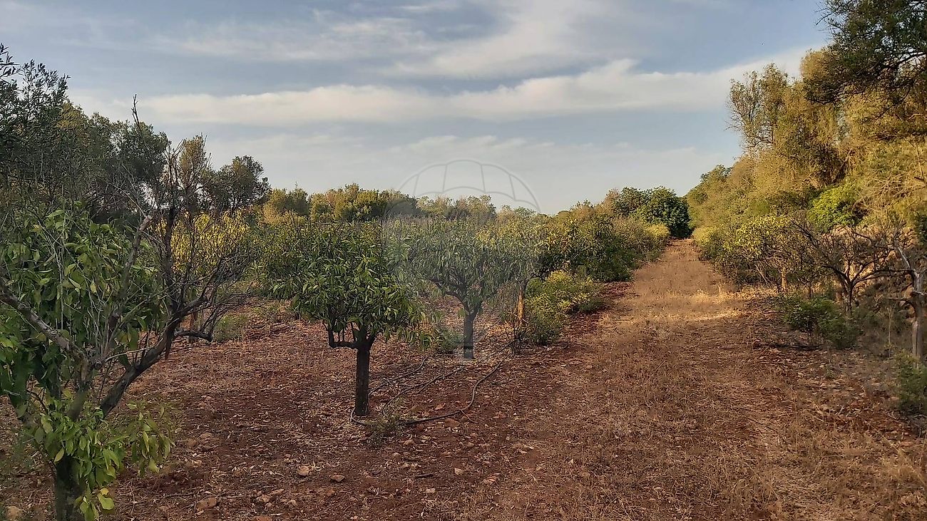 Terreno para venda