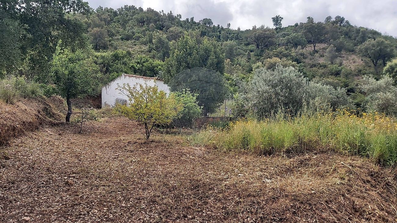 Terreno à venda em Silves
