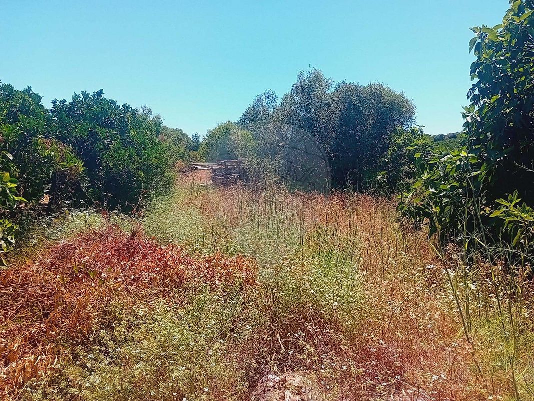 Apartamento à venda em Silves
