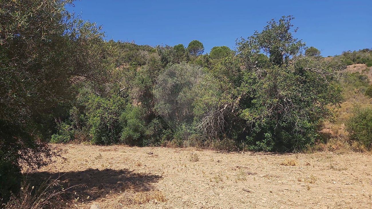 Apartamento à venda em Albufeira