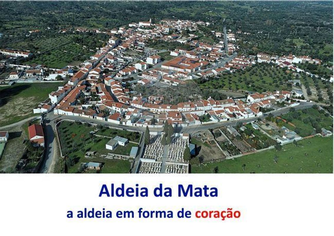 TODO