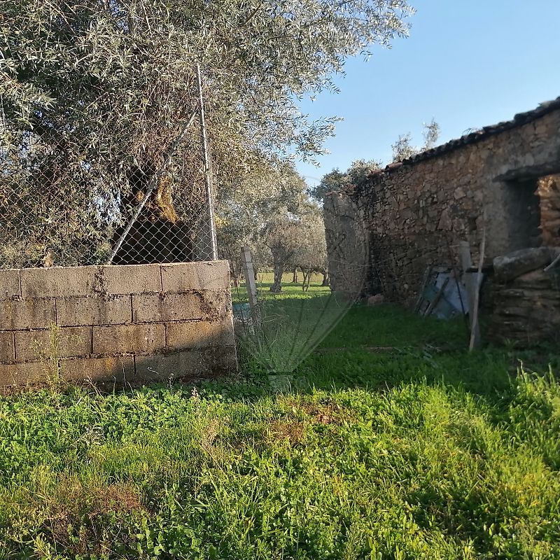 Moradia T1 à venda em Alegrete, Portalegre — foto 8