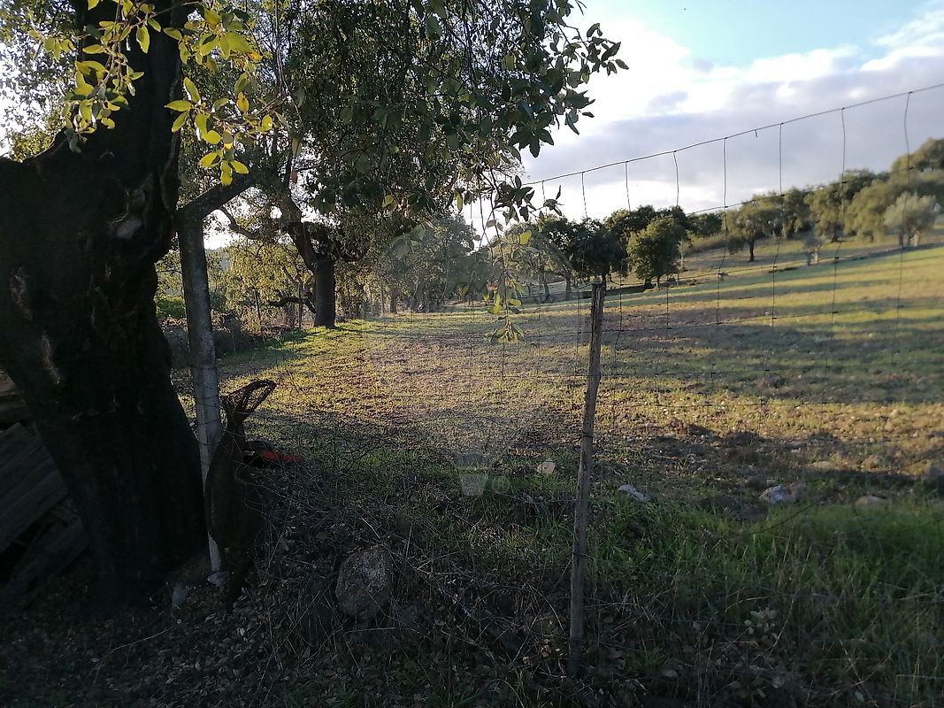 Moradia T1 à venda em Alegrete, Portalegre — foto 6