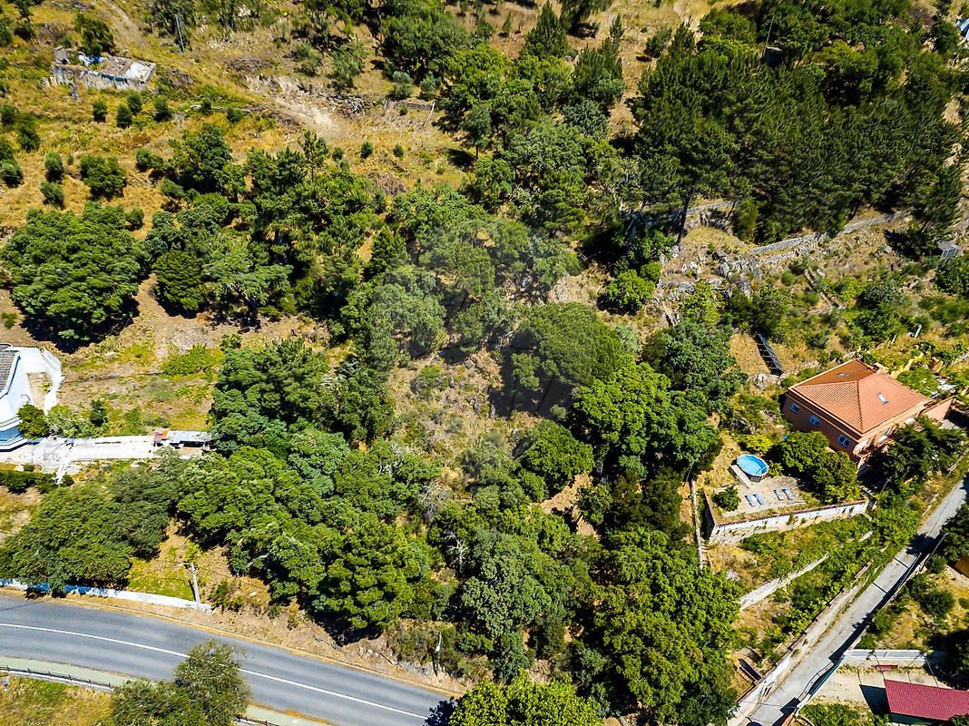 Terreno em Portalegre