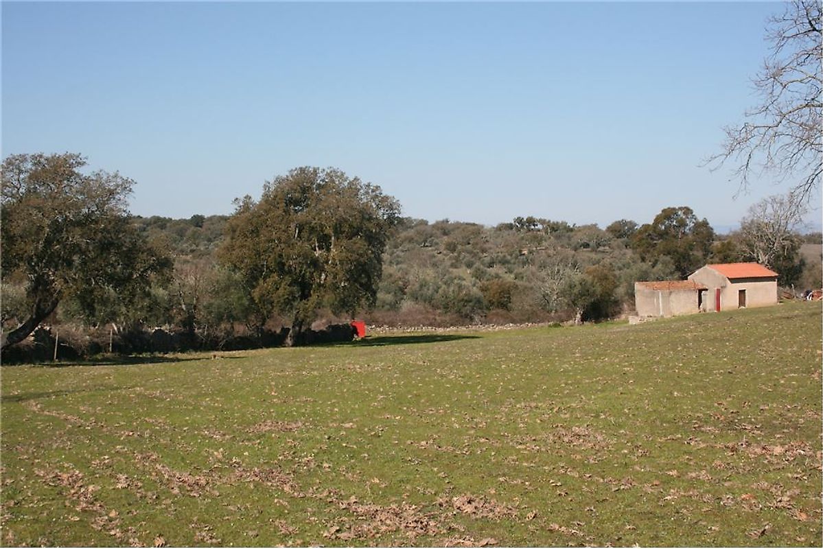 Terreno em Castelo de Vide