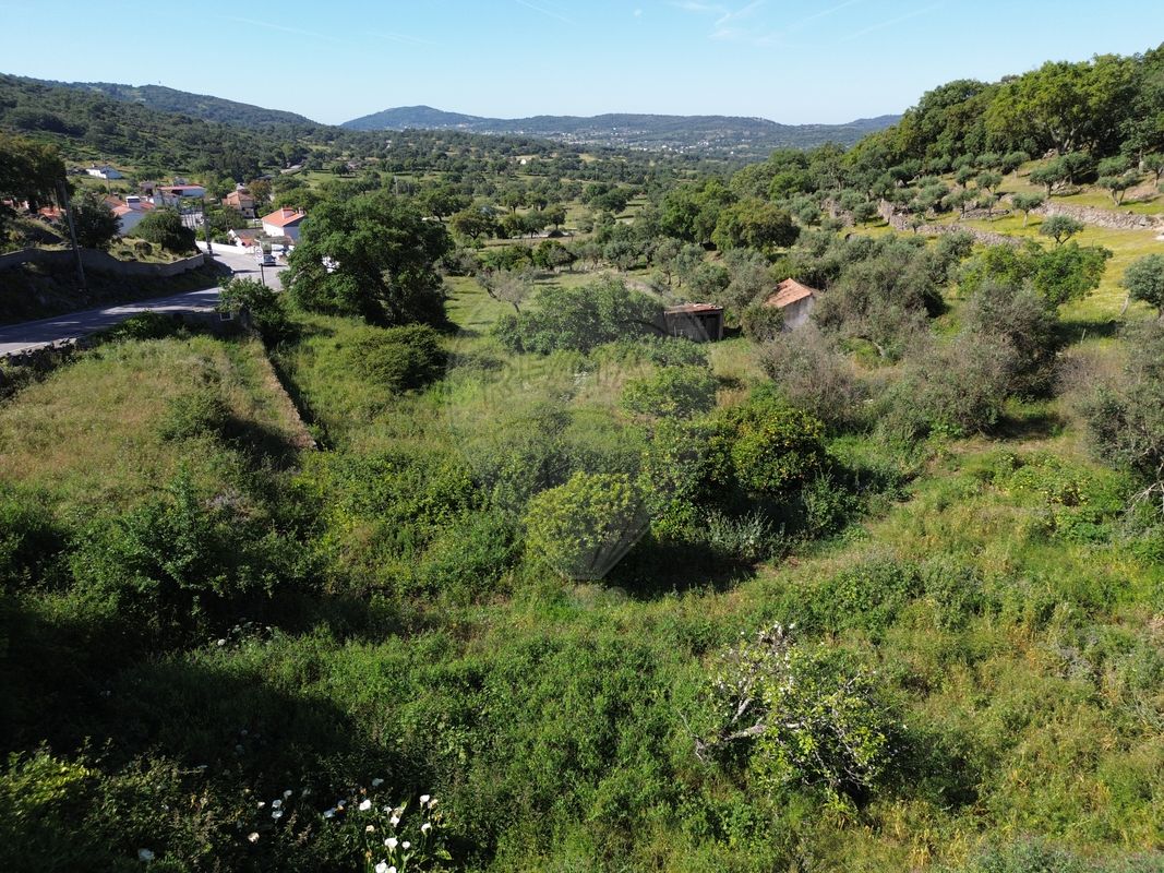 Terreno  para venda