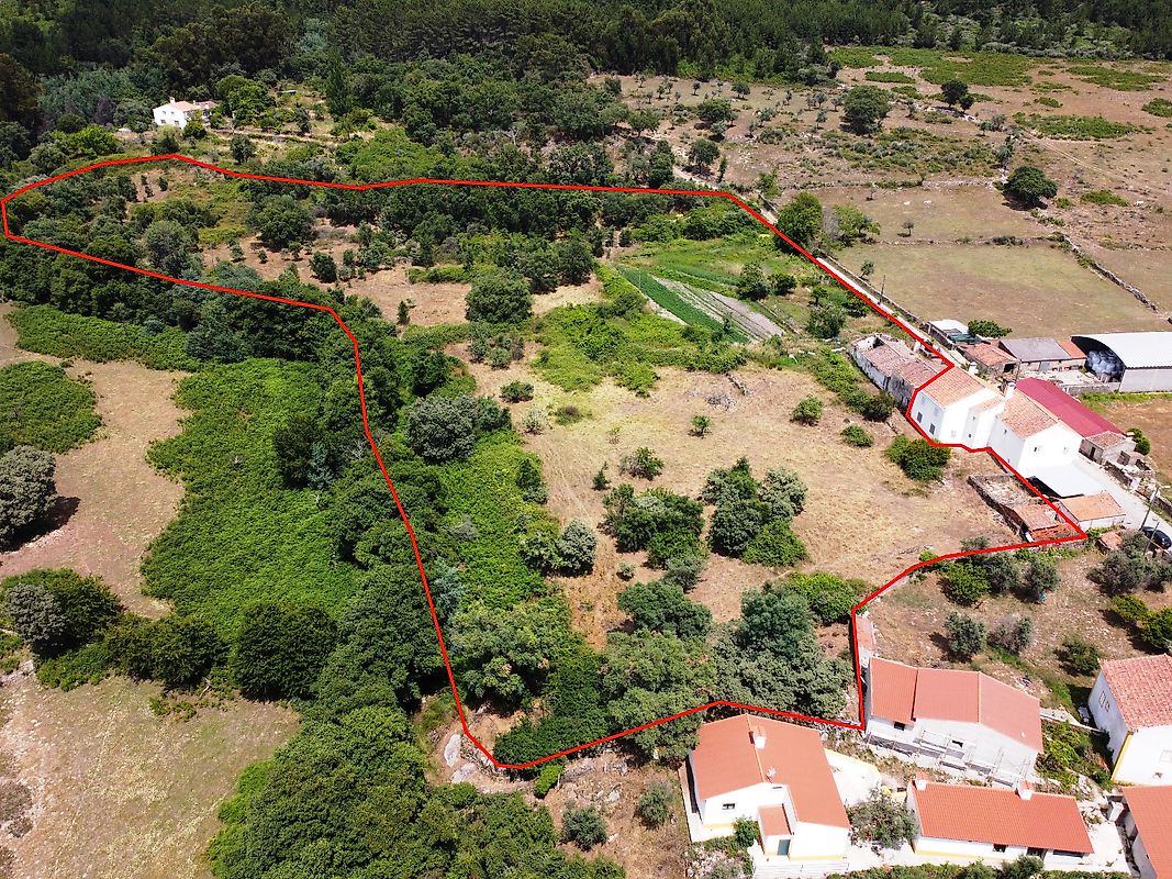 Quinta à venda em Portalegre
