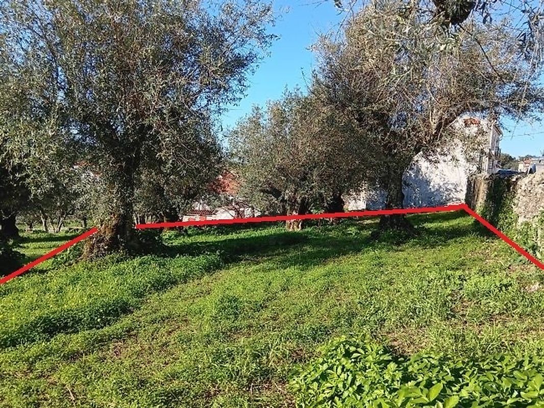 Terreno à venda em Portalegre