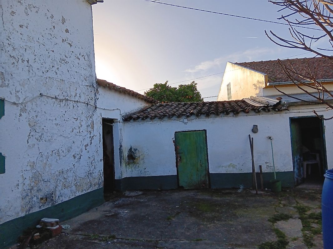 listing 120581154-80 picture-0