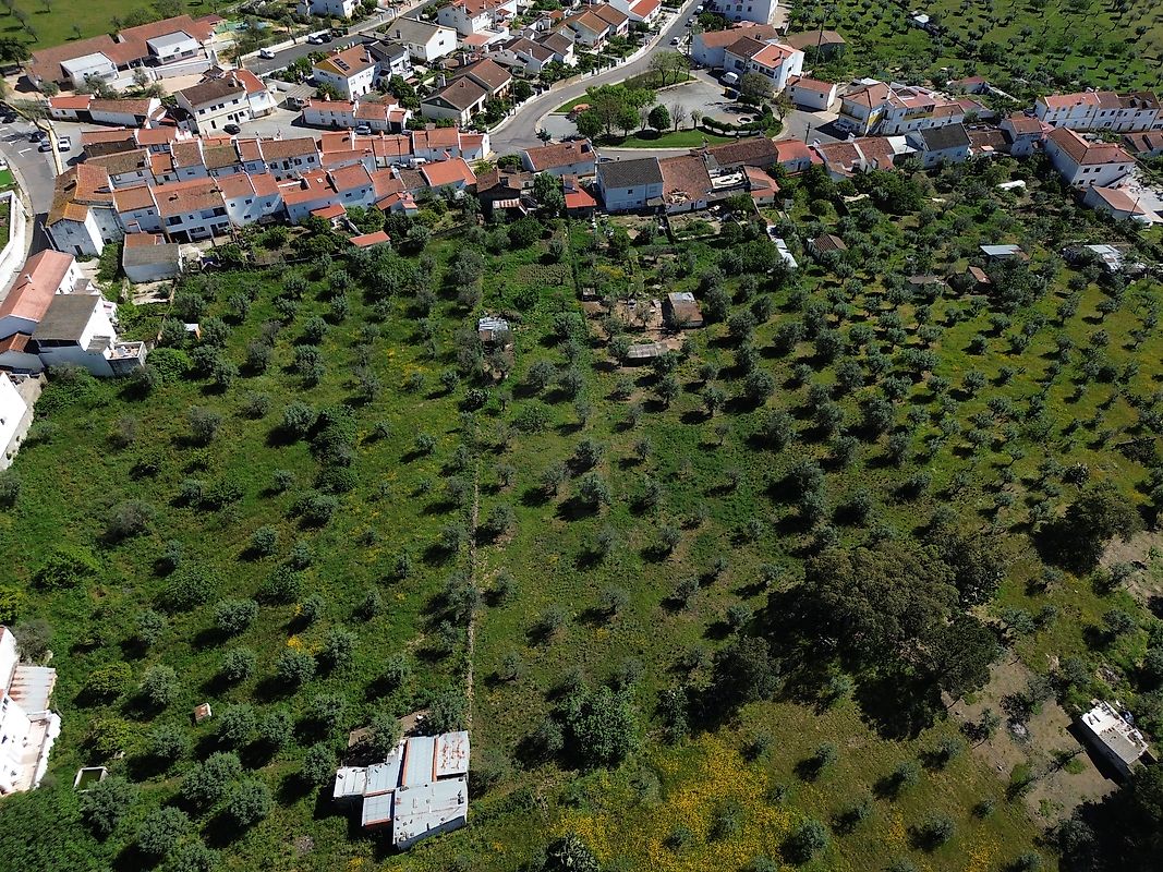 listing 120581154-80 picture-0