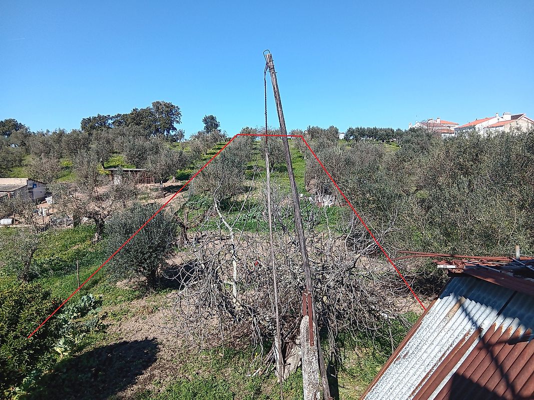 listing 120581154-80 picture-0