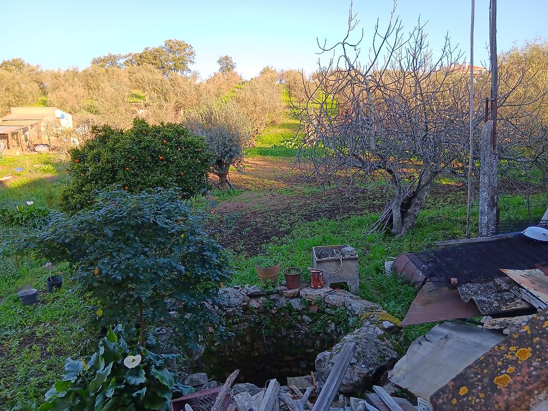 listing 120581154-80 picture-0