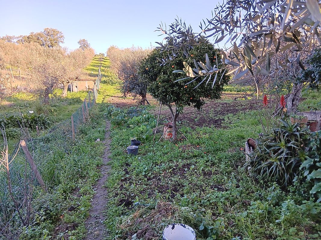 listing 120581154-80 picture-0