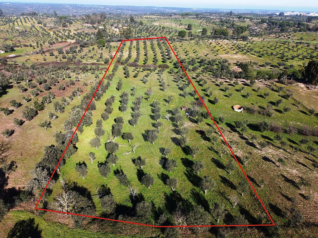Terreno  para venda