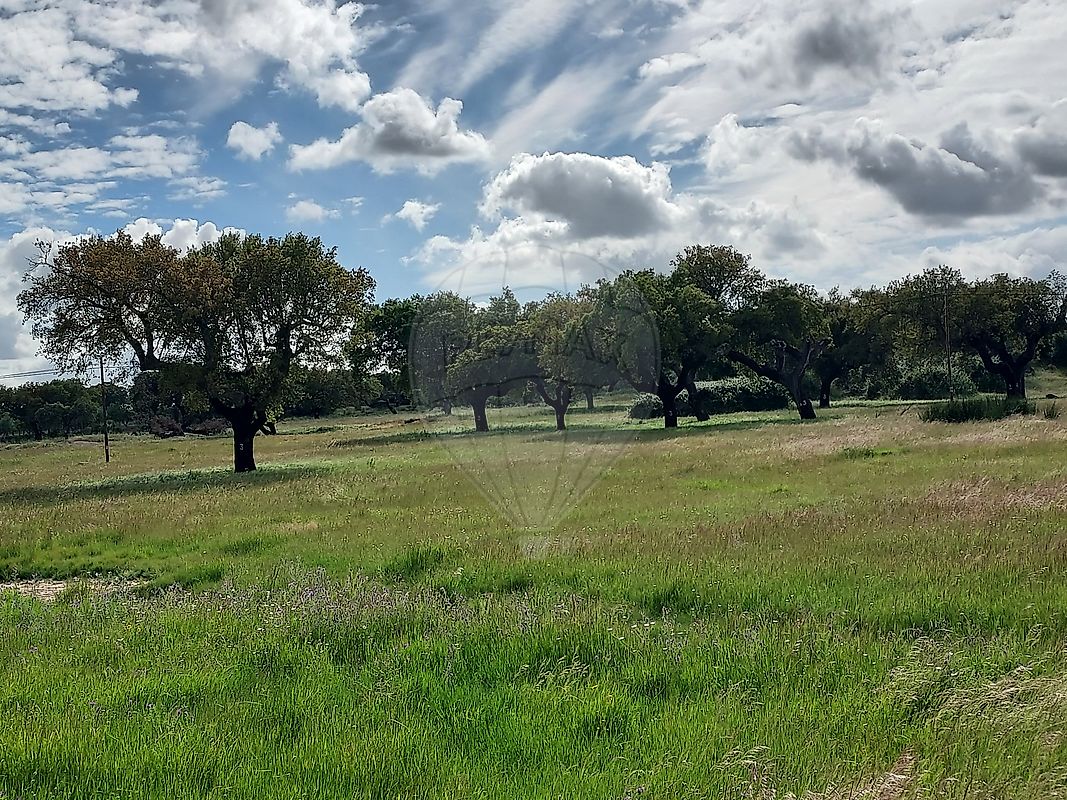 Herdade T0 para venda