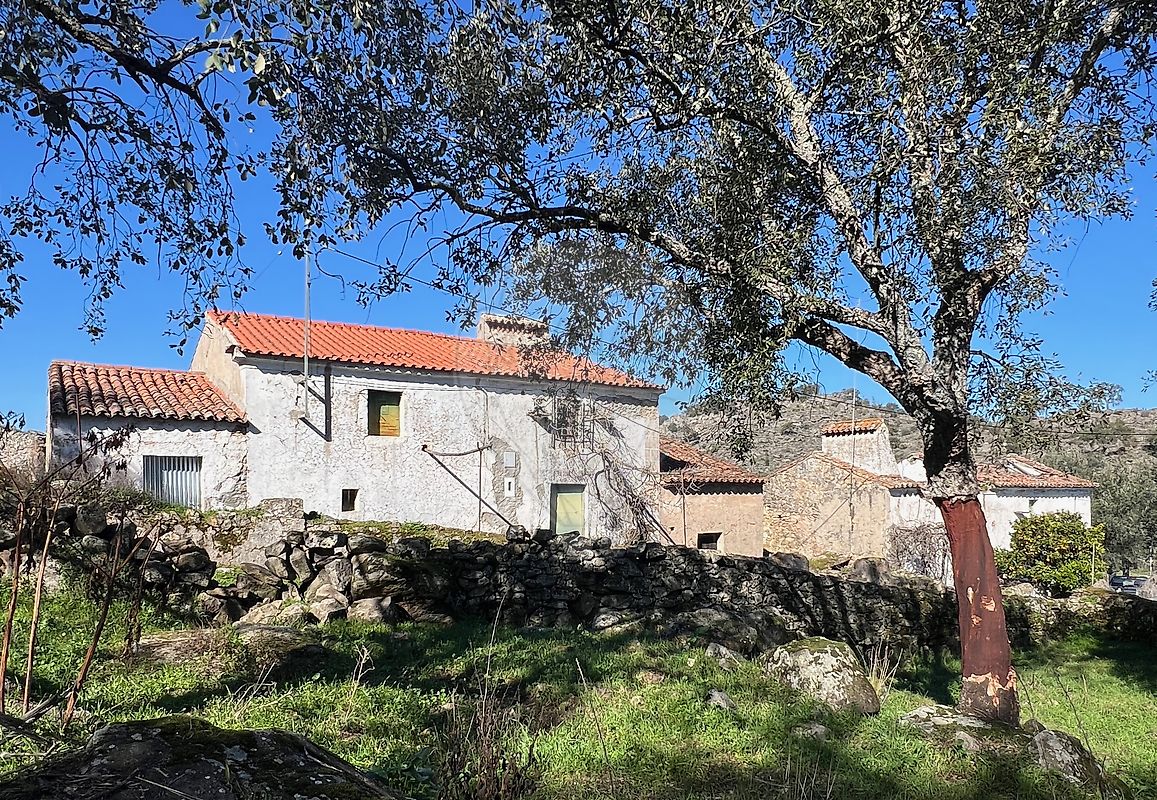 Quinta T15 para venda