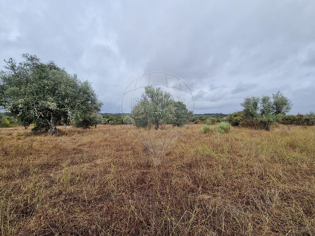 Terreno para venda