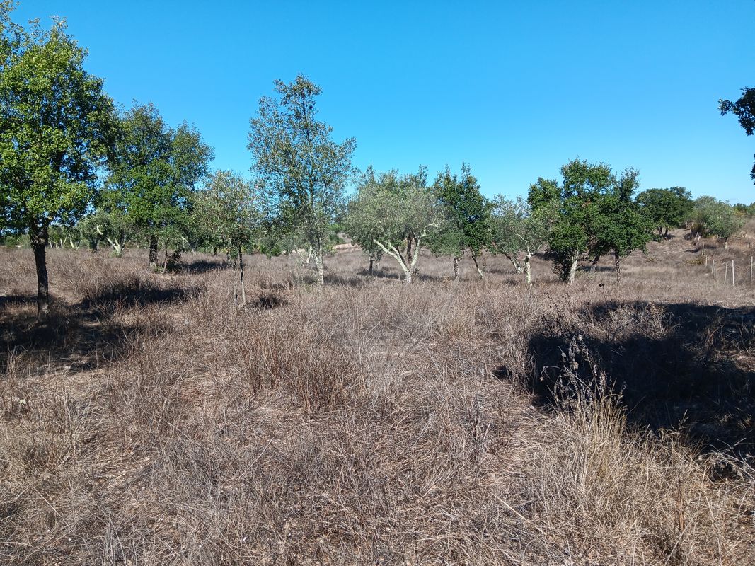 Terreno para venda