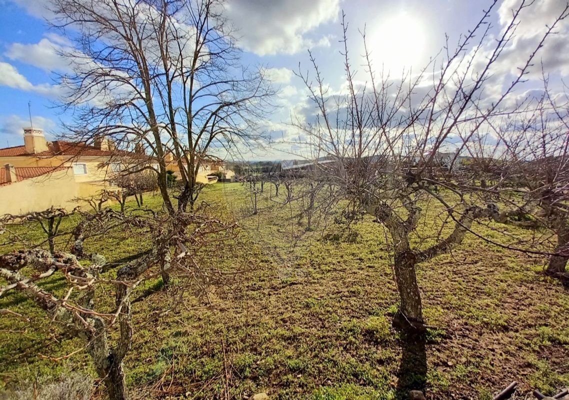 listing 120581169-61 picture-0