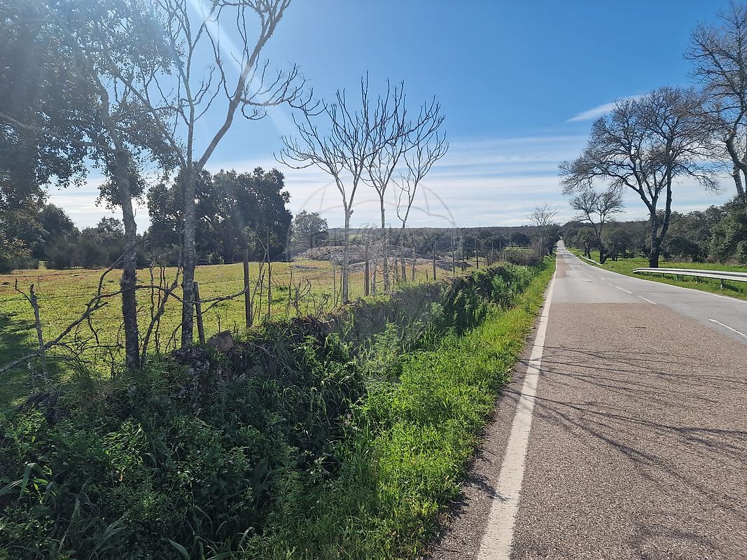 Terreno para venda