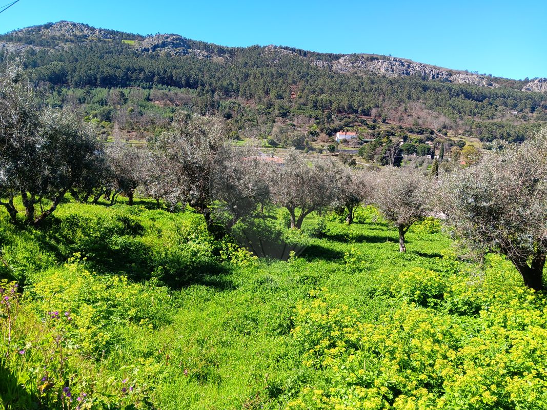 Terreno para venda
