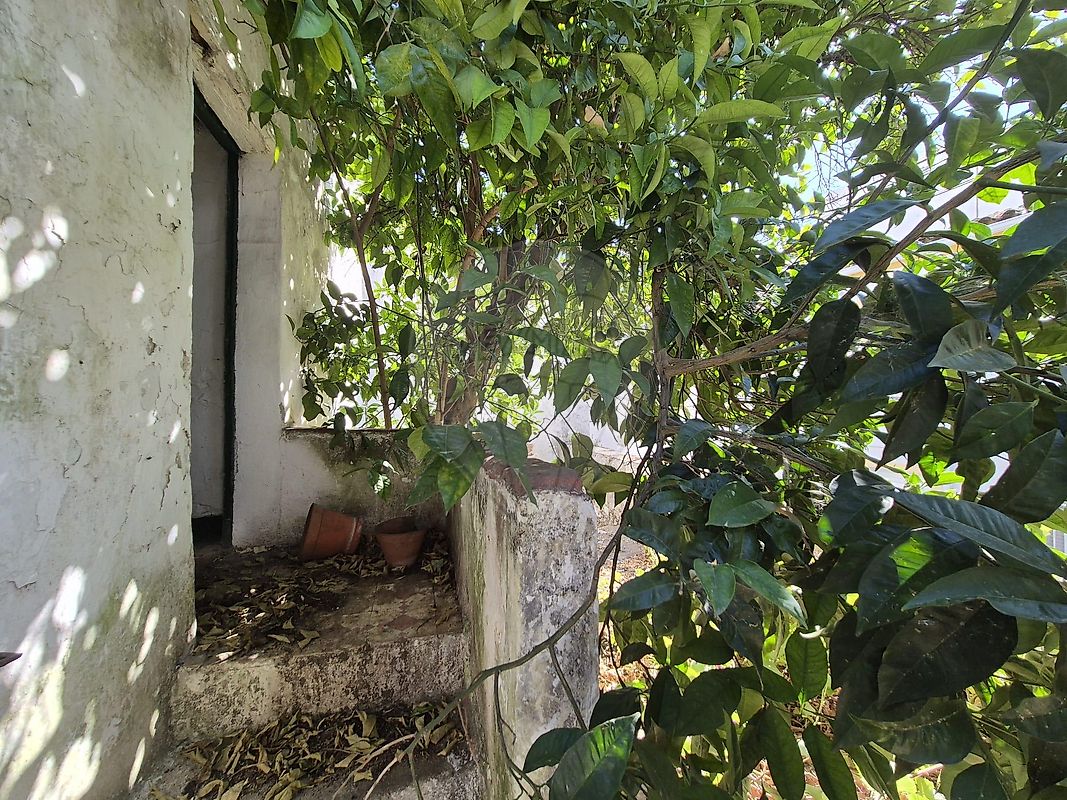 Moradia T3 à venda em Sé e São Lourenço, Portalegre — foto 22