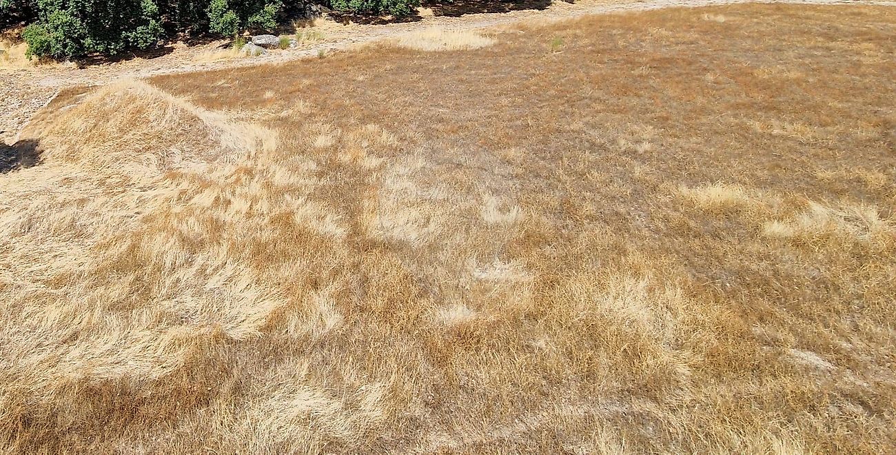 Terreno para venda